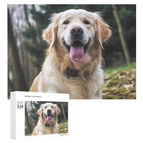 520 Teile Puzzles für Erwachsene Coole Lustige Golden Retriever Puzzles Große Puzzles Spiel Dekompression Freizeit Unterhaltung Holzpuzzle Entspannung Sensorisches Spielzeug Raumdekor für Frauen von VFMKT