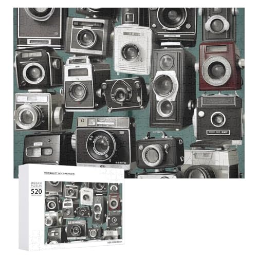 520 Teile Puzzles für Erwachsene Coole Retro Coole Kamera Sammlung Puzzles Große Puzzles Spiel Dekompression Freizeit Unterhaltung Holzpuzzle Entspannung Sensorisches Spielzeug Raumdekor für Frauen 520 Teile Puzzles für Erwachsene Coole Retro Coole Kamera Sammlung Puzzles Große Puzzles Spiel Dekompression Freizeit Unterhaltung Holzpuzzle Entspannung Sensorisches Spielzeug Raumdekor für Frauen von VFMKT