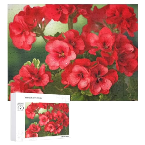 520 Teile Puzzles für Erwachsene Coole Rote Geranien Puzzles Große Puzzles Spiel Dekompression Freizeit Unterhaltung Holzpuzzle Entspannung Sensorisches Spielzeug Raumdekor für Frauen Männer von VFMKT
