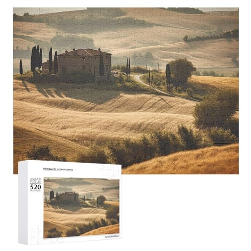 Puzzle 520 Teile für Erwachsene Coole Aussicht auf die typische Landschaft der Toskana Großes Dekompressions-Puzzle Freizeit Unterhaltung Holzpuzzle Entspannung sensorisches Spielzeug von VFMKT