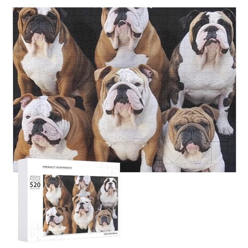 Puzzle 520 Teile für Erwachsene Coole Englische Bulldoggen Große Dekompression Puzzle Freizeit Unterhaltung Holzpuzzle Entspannung Sensorisches Spielzeug Raumdekoration für Puzzle 520 Teile für Erwachsene Coole Englische Bulldoggen Große Dekompression Puzzle Freizeit Unterhaltung Holzpuzzle Entspannung Sensorisches Spielzeug Raumdekoration für von VFMKT