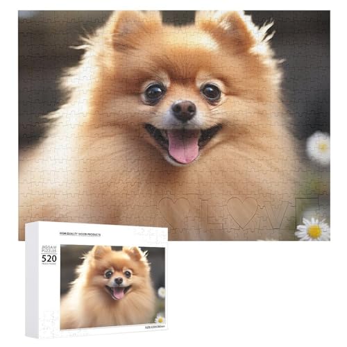 Puzzle 520 Teile für Erwachsene Großes cooles Pommerschen Puzzle Dekompressionsspiel Freizeit Unterhaltung Holzpuzzle Entspannung Sensorisches Spielzeug Raumdekoration für von VFMKT
