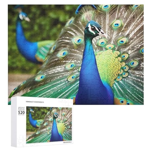 Puzzle 520 Teile für Erwachsene Schöner Pfau Dekompressionsspiel Freizeit Unterhaltung Holzpuzzle Entspannung sensorisches Spielzeug Raumdekoration für Männer Frauen von VFMKT