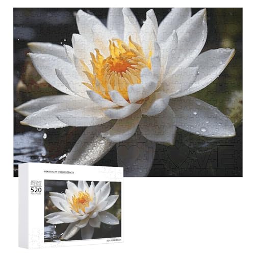 VFMKT 520 Teile Puzzles für Erwachsene Coole Blumenpuzzles Große Puzzles Spiel Dekompression Freizeit Unterhaltung Holzpuzzle Entspannung Sensorisches Spielzeug Raumdekor für Frauen Männer, Stil VFMKT 520 Teile Puzzles für Erwachsene Coole Blumenpuzzles Große Puzzles Spiel Dekompression Freizeit Unterhaltung Holzpuzzle Entspannung Sensorisches Spielzeug Raumdekor für Frauen Männer, Stil von VFMKT