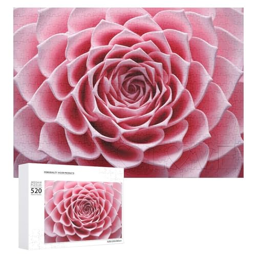 VFMKT 520 Teile Puzzles für Erwachsene Coole Nahaufnahme von Blumen Puzzles Große Puzzles Spiel Dekompression Freizeit Unterhaltung Holzpuzzle Entspannung Sensorisches Spielzeug Raumdekor für Frauen VFMKT 520 Teile Puzzles für Erwachsene Coole Nahaufnahme von Blumen Puzzles Große Puzzles Spiel Dekompression Freizeit Unterhaltung Holzpuzzle Entspannung Sensorisches Spielzeug Raumdekor für Frauen von VFMKT