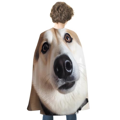 VFMKT Halloween Umhang Uni Erwachsene, Vampir Umhang Reversibel, leicht und bequem, Hexenumhang für Hunde, Foto, Halloween, Cosplay, Kostüm für Damen und Herren von VFMKT