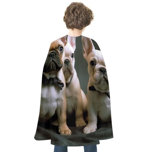 VFMKT Halloween Umhang Uni Erwachsene - Leichter und bequemer wendbarer Vampir Umhang - Hexenumhang - Französische Bulldogge Umhang - Halloween und Cosplay Kostüme für Damen und Herren VFMKT Halloween Umhang Uni Erwachsene - Leichter und bequemer wendbarer Vampir Umhang - Hexenumhang - Französische Bulldogge Umhang - Halloween und Cosplay Kostüme für Damen und Herren von VFMKT