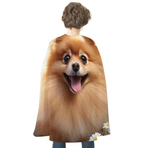 VFMKT Halloween Umhang Uni Erwachsene Umhang Reversible Vampir Umhang Leicht Bequem Hexe Cape Pommersche Hund Halloween Cosplay Kostüm für Männer Frauen VFMKT Halloween Umhang Uni Erwachsene Umhang Reversible Vampir Umhang Leicht Bequem Hexe Cape Pommersche Hund Halloween Cosplay Kostüm für Männer Frauen von VFMKT