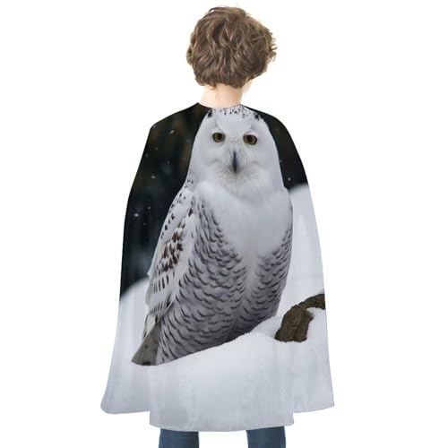 VFMKT Halloween-Umhang für Erwachsene, Uni, wendbar, Vampirumhang, leicht und bequem, Hexenumhang, Schneeeule, Halloween, Cosplay, Kostüme für Damen und Herren von VFMKT