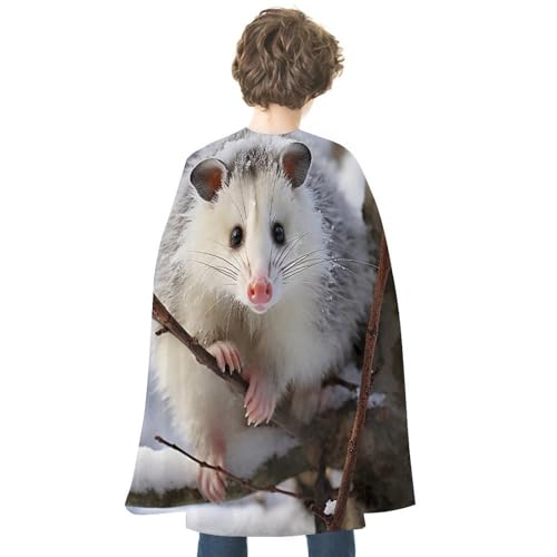 VFMKT Halloween-Umhang für Erwachsene, wendbar, leicht und bequem, Hexenumhang, Opossum im Schnee, Halloween, Cosplay, Kostüme für Damen und Herren von VFMKT