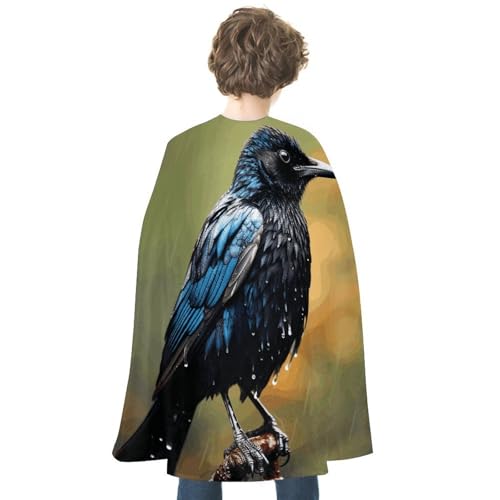 VFMKT Halloween-Umhang für Erwachsene, wendbar, leicht und bequem, Hexenumhang, Vogel an regnerischen Tagen, Halloween, Cosplay, Kostüme für Damen und Herren von VFMKT