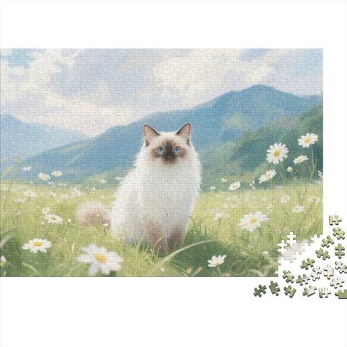 Bermuda-Katze 1000 Stück Puzzle Puzzle Erwachsene Pädagogisches Spiel Herausforderung Home Dekoration Für Erwachsene Und Kinder Ab 14 Jahren 1000pcs (75x50cm) von VGDKAOBM