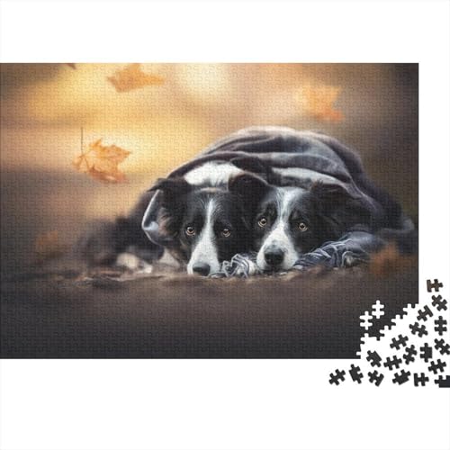 Border Collie 1000 Stück Puzzle Puzzle Erwachsene Puzzlespiel-Herausforderung Pädagogisches Spiel Herausforderung Wohnungseinrichtung Geschenke Für Erwachsene 1000pcs (75x50cm) von VGDKAOBM