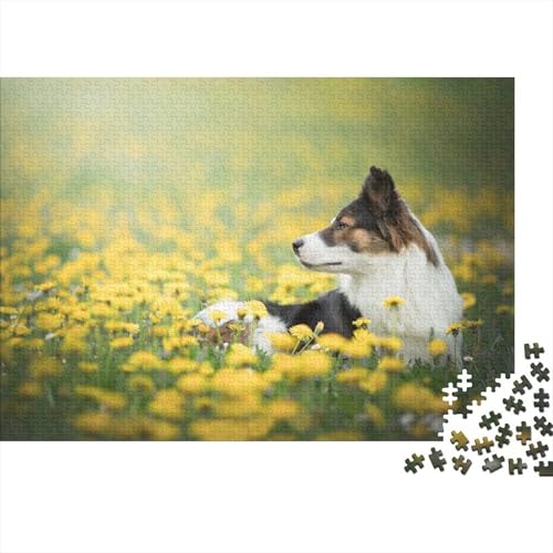 Border Collie 1000 Stück Puzzle Puzzle Erwachsene Puzzlespiel-Herausforderung Pädagogisches Spiel Herausforderung Wohnungseinrichtung Geschenke Für Erwachsene 1000pcs (75x50cm) von VGDKAOBM