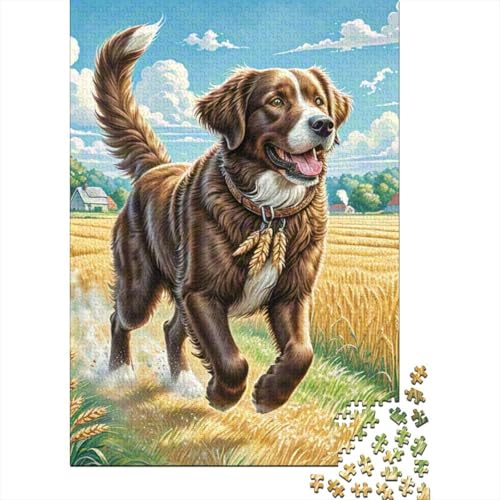 Labrador Retriever 1000 Stück Puzzle Puzzle Erwachsene Pädagogisches Spiel Herausforderung Home Dekoration Für Erwachsene Und Kinder Ab 14 Jahren 1000pcs (75x50cm) von VGDKAOBM