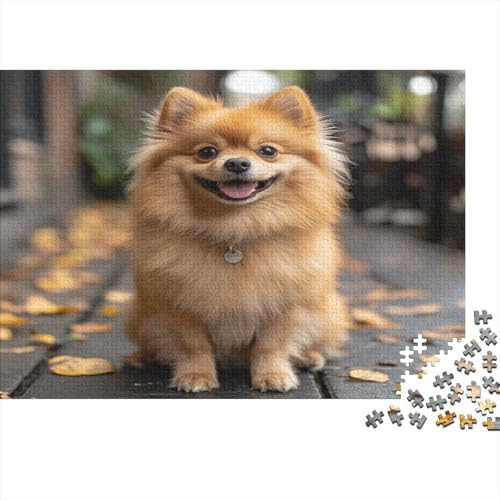 Pomeranian 1000 Teile Puzzles Puzzle Erwachsene Pädagogisches Spiel Herausforderung Wohnungseinrichtung Schöne Geschenkidee 1000pcs (75x50cm) von VGDKAOBM
