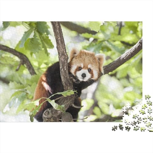Roter Panda 1000 Stück Puzzle Puzzle Erwachsene Süßer Kleiner Panda Pädagogisches Spiel Herausforderung Home Dekoration Geschenke Für Erwachsene 1000pcs (75x50cm) von VGDKAOBM