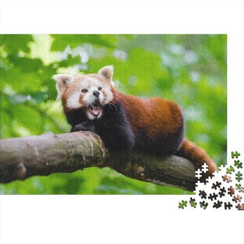 Roter Panda 1000 Stück Puzzle Puzzle Erwachsene Süßer Kleiner Panda Pädagogisches Spiel Herausforderung Home Dekoration Schöne Geschenkidee 1000pcs (75x50cm) von VGDKAOBM