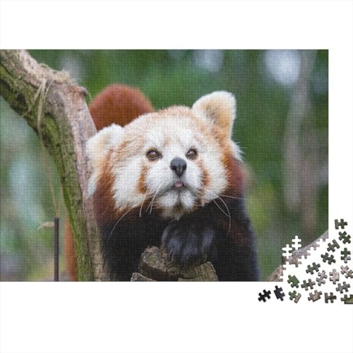 Roter Panda 1000 Stück Puzzle Puzzle Erwachsene Süßer Kleiner Panda Pädagogisches Spiel Herausforderung Wohnungseinrichtung Schöne Geschenkidee 1000pcs (75x50cm) von VGDKAOBM