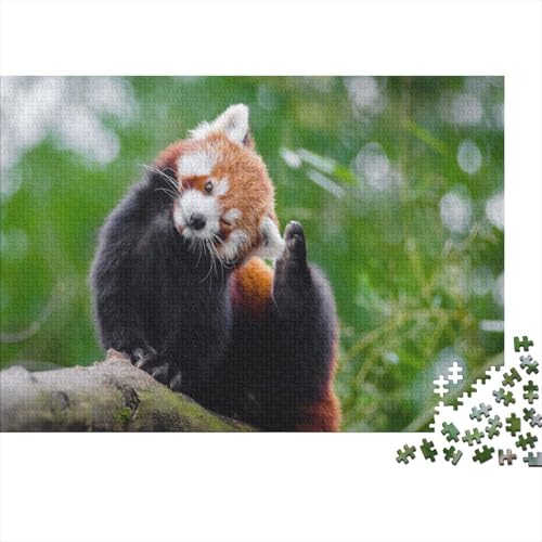 Roter Panda 1000 Stück Puzzle Puzzles Für Erwachsene Süßer Kleiner Panda Pädagogisches Spiel Herausforderung Heimdekoration Geschenke Schöne Geschenkidee 1000pcs (75x50cm) von VGDKAOBM
