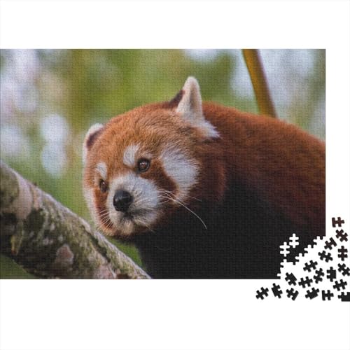 Roter Panda 1000 Stück Puzzle Puzzles Für Erwachsene Süßer Kleiner Panda Pädagogisches Spiel Herausforderung Home Dekoration Geschenke Für Erwachsene 1000pcs (75x50cm) von VGDKAOBM