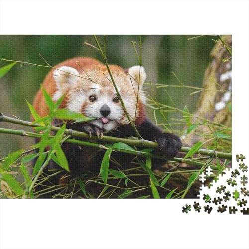 Roter Panda 1000 Stück Puzzle Puzzles Für Erwachsene Süßer Kleiner Panda Pädagogisches Spiel Herausforderung Home Dekoration Schöne Geschenkidee 1000pcs (75x50cm) von VGDKAOBM