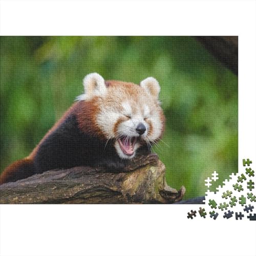 Roter Panda 1000 Stück Puzzle Puzzles Für Erwachsene Süßer Kleiner Panda Puzzlespiel-Herausforderung Pädagogisches Spiel Herausforderung Wohnungseinrichtung Schöne Geschenkidee 1000pcs (75x50cm) von VGDKAOBM