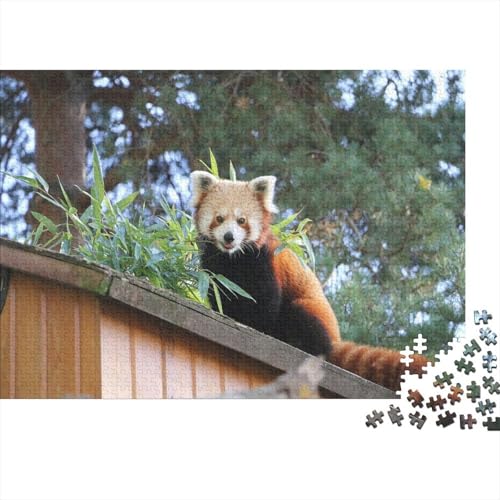 Roter Panda 1000 Teile Puzzle Puzzle Erwachsene Süßer Kleiner Panda Pädagogisches Spiel Herausforderung Heimdekoration Geschenke Schöne Geschenkidee 1000pcs (75x50cm) von VGDKAOBM