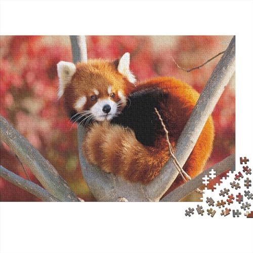 Roter Panda 1000 Teile Puzzle Puzzle Erwachsene Süßer Kleiner Panda Pädagogisches Spiel Herausforderung Heimdekoration Geschenke Schöne Geschenkidee 1000pcs (75x50cm) von VGDKAOBM