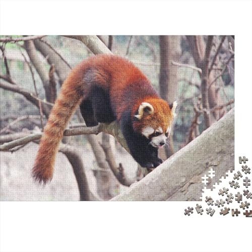 Roter Panda 1000 Teile Puzzle Puzzle Erwachsene Süßer Kleiner Panda Pädagogisches Spiel Herausforderung Home Dekoration Geschenke Für Erwachsene 1000pcs (75x50cm) von VGDKAOBM