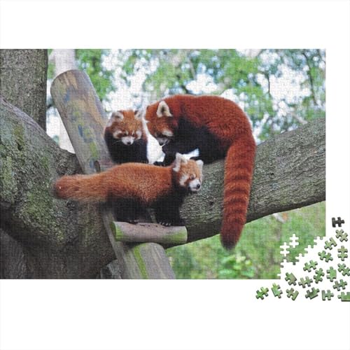 Roter Panda 1000 Teile Puzzle Puzzle Erwachsene Süßer Kleiner Panda Puzzlespiel-Herausforderung Pädagogisches Spiel Herausforderung Home Dekoration Schöne Geschenkidee 1000pcs (75x50cm) von VGDKAOBM