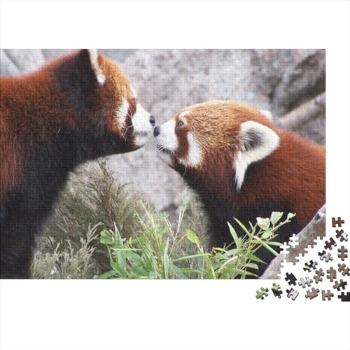 Roter Panda 1000 Teile Puzzle Puzzle Erwachsene Süßer Kleiner Panda Puzzlespiel-Herausforderung Pädagogisches Spiel Herausforderung Wohnungseinrichtung Schöne Geschenkidee 1000pcs (75x50cm) von VGDKAOBM
