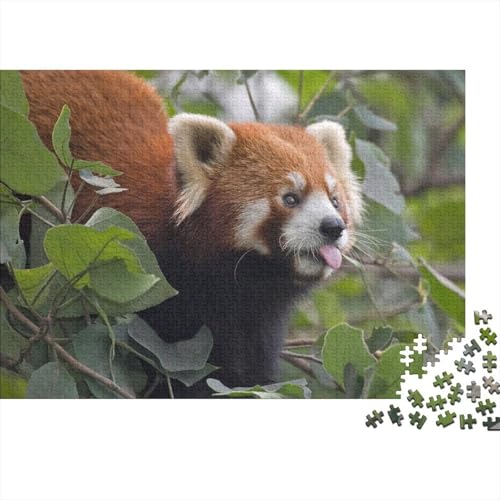 Roter Panda 1000 Teile Puzzle Puzzles Für Erwachsene Süßer Kleiner Panda Pädagogisches Spiel Herausforderung Home Dekoration Schöne Geschenkidee 1000pcs (75x50cm) von VGDKAOBM