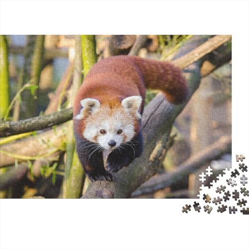 Roter Panda 1000 Teile Puzzle Puzzles Für Erwachsene Süßer Kleiner Panda Pädagogisches Spiel Herausforderung Home Dekoration Schöne Geschenkidee 1000pcs (75x50cm) von VGDKAOBM