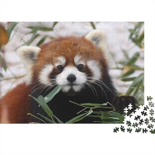Roter Panda 1000 Teile Puzzle Puzzles Für Erwachsene Süßer Kleiner Panda Puzzlespiel-Herausforderung Pädagogisches Spiel Herausforderung Home Dekoration Schöne Geschenkidee 1000pcs (75x50cm) von VGDKAOBM
