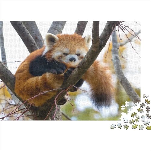 Roter Panda 1000 Teile Puzzle Puzzles Für Erwachsene Süßer Kleiner Panda Puzzlespiel-Herausforderung Pädagogisches Spiel Herausforderung Home Dekoration Schöne Geschenkidee 1000pcs (75x50cm) von VGDKAOBM