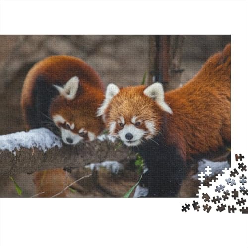 Roter Panda 1000 Teile Puzzle Puzzles Für Erwachsene Süßer Kleiner Panda Puzzlespiel-Herausforderung Pädagogisches Spiel Herausforderung Home Dekoration Schöne Geschenkidee 1000pcs (75x50cm) von VGDKAOBM