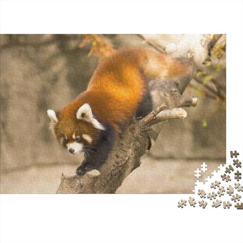 Roter Panda 1000 Teile Puzzles Puzzle Erwachsene Süßer Kleiner Panda Pädagogisches Spiel Herausforderung Heimdekoration Geschenke Geschenke Für Erwachsene 1000pcs (75x50cm) von VGDKAOBM