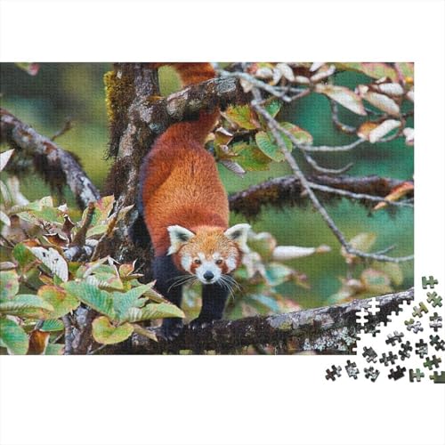 Roter Panda 1000 Teile Puzzles Puzzle Erwachsene Süßer Kleiner Panda Pädagogisches Spiel Herausforderung Home Dekoration Geschenke Für Erwachsene 1000pcs (75x50cm) von VGDKAOBM