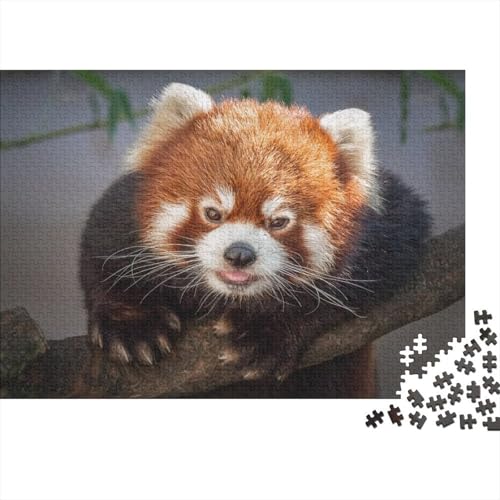 Roter Panda 1000 Teile Puzzles Puzzle Erwachsene Süßer Kleiner Panda Pädagogisches Spiel Herausforderung Wohnungseinrichtung Geschenke Für Erwachsene 1000pcs (75x50cm) von VGDKAOBM