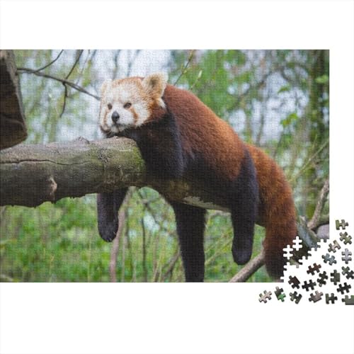 Roter Panda 1000 Teile Puzzles Puzzle Erwachsene Süßer Kleiner Panda Pädagogisches Spiel Herausforderung Wohnungseinrichtung Geschenke Für Erwachsene 1000pcs (75x50cm) von VGDKAOBM