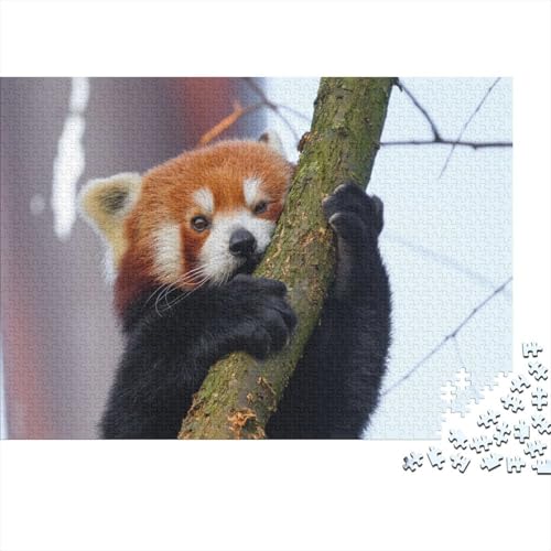 Roter Panda 1000 Teile Puzzles Puzzle Erwachsene Süßer Kleiner Panda Puzzlespiel-Herausforderung Pädagogisches Spiel Herausforderung Home Dekoration Geschenke Für Erwachsene 1000pcs (75x50cm) von VGDKAOBM