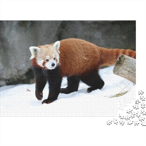 Roter Panda 1000 Teile Puzzles Puzzles Für Erwachsene Süßer Kleiner Panda Pädagogisches Spiel Herausforderung Home Dekoration Schöne Geschenkidee 1000pcs (75x50cm) von VGDKAOBM