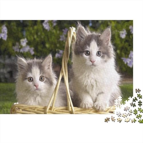Süße kleine Katze 1000 Stück Puzzle Puzzle Erwachsene Katze Pädagogisches Spiel Herausforderung Home Dekoration Geschenke Für Erwachsene 1000pcs (75x50cm) von VGDKAOBM