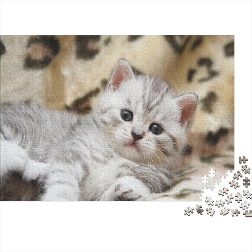 Süße kleine Katze 1000 Stück Puzzle Puzzle Erwachsene Katze Puzzlespiel-Herausforderung Pädagogisches Spiel Herausforderung Wohnungseinrichtung Geschenke Für Erwachsene 1000pcs (75x50cm) von VGDKAOBM