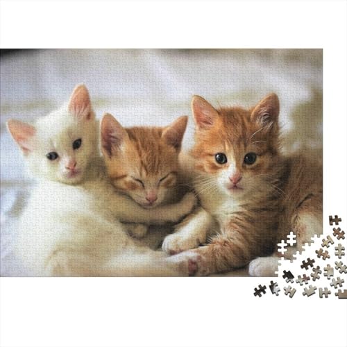 Süße kleine Katze 1000 Stück Puzzle Puzzles Für Erwachsene Katze Pädagogisches Spiel Herausforderung Home Dekoration Geschenke Für Erwachsene 1000pcs (75x50cm) von VGDKAOBM