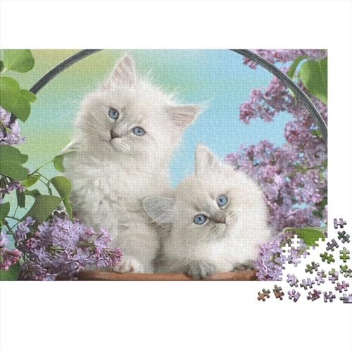 Süße kleine Katze 1000 Stück Puzzle Puzzles Für Erwachsene Katze Pädagogisches Spiel Herausforderung Home Dekoration Schöne Geschenkidee 1000pcs (75x50cm) von VGDKAOBM