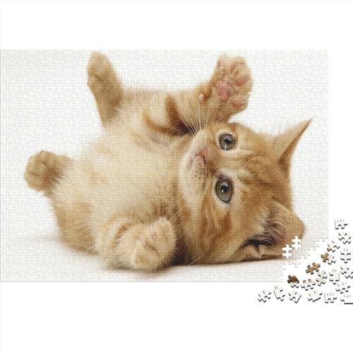 Süße kleine Katze 1000 Stück Puzzle Puzzles Für Erwachsene Katze Pädagogisches Spiel Herausforderung Home Dekoration Schöne Geschenkidee 1000pcs (75x50cm) von VGDKAOBM