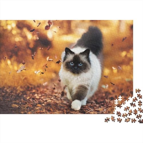 Süße kleine Katze 1000 Stück Puzzle Puzzles Für Erwachsene Katze Pädagogisches Spiel Herausforderung Wohnungseinrichtung Geschenke Für Erwachsene 1000pcs (75x50cm) von VGDKAOBM