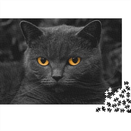 Süße kleine Katze 1000 Stück Puzzle Puzzles Für Erwachsene Katze Puzzlespiel-Herausforderung Pädagogisches Spiel Herausforderung Wohnungseinrichtung Schöne Geschenkidee 1000pcs (75x50cm) von VGDKAOBM